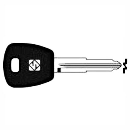 PO1RTE     CHIAVE TRANSPONDER NO CHIP PROTON