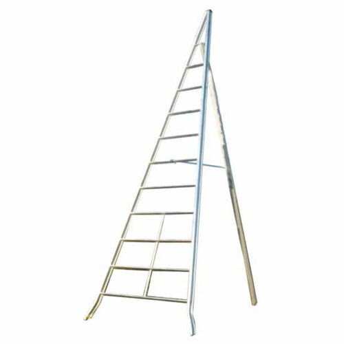 SCALA ALLUMINIO AGRICOLTURA m 3,0            FACAL