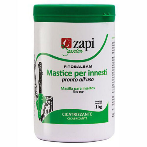 MASTICE INNESTI g  500                        ZAPI
