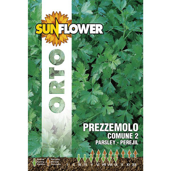 SEMENTI PREZZEMOLO COMUNE 2 SUNFLOWER