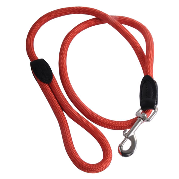 GUINZAGLIO CANI NYLON T mm 13 cm 110 ILCAMPO 07640