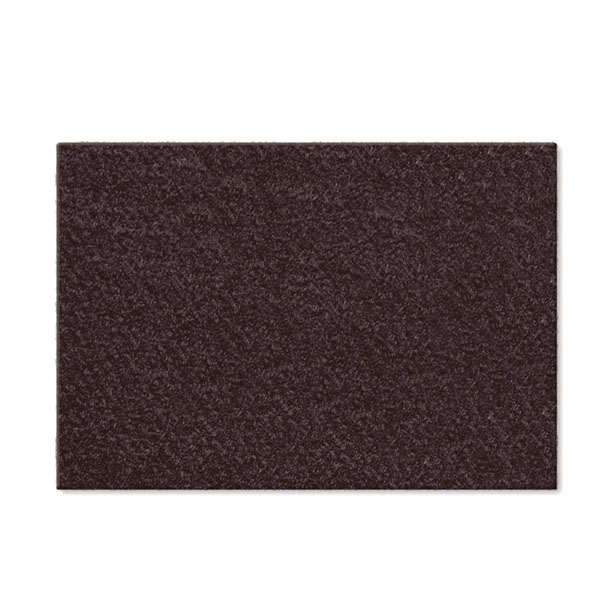 PANNO PULISCI FERRO STIRO           cm 10×15 RAYEN