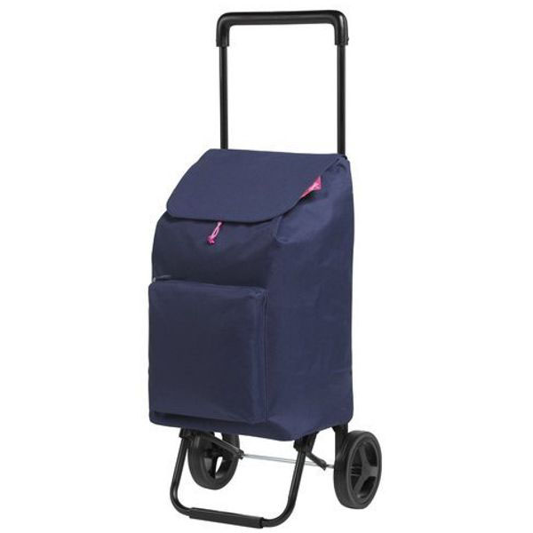 CARRELLO SPESA ARGO BLU l 42 30x36 h 94 GIMI